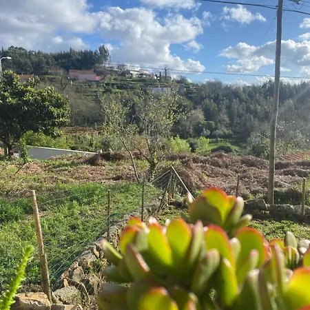 Casa Da Vitoria *