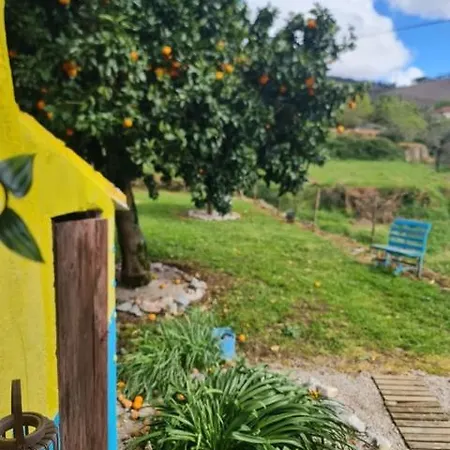 Casa Da Vitoria Casa de Férias Penela